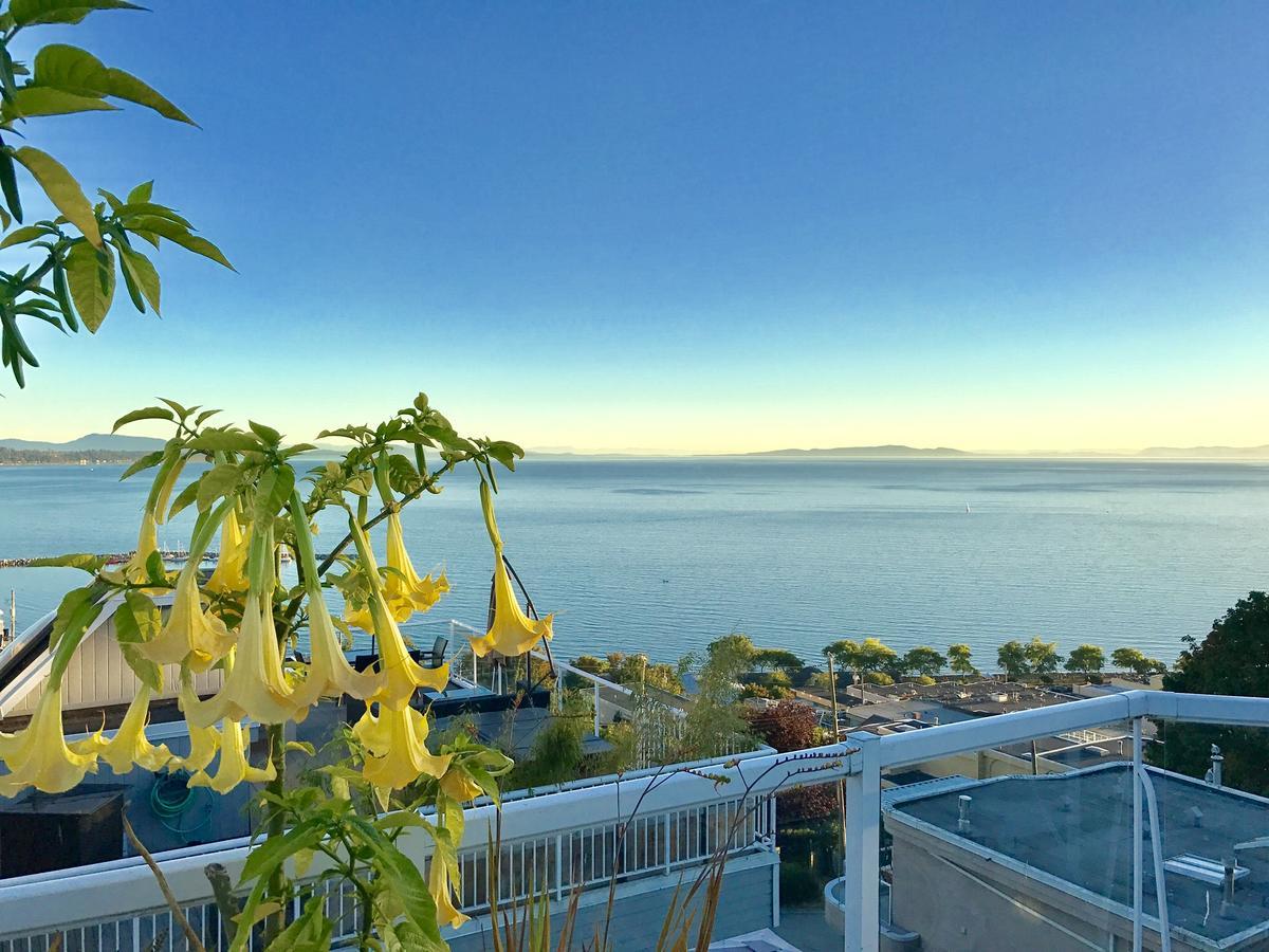 Donna'S Bed & Breakfast White Rock Dış mekan fotoğraf